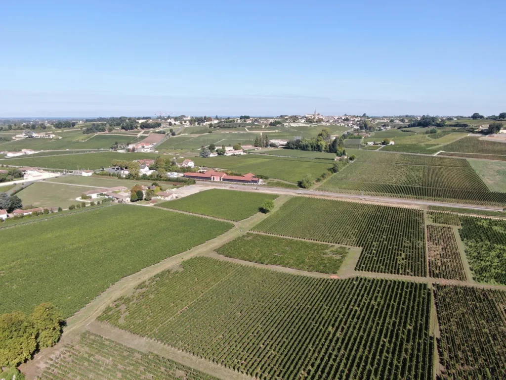 Saint-Émilion depuis le château Franc Patarabet