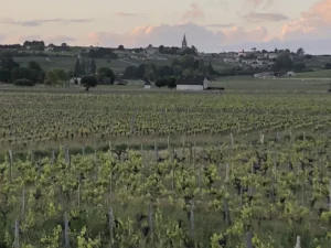 Saint-Émilion vu depuis le Franc Patarabet, Saint-Émilion Grand Cru